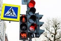 Traffic light and pedestrian crossing sign, close-up, daytime, cold season Royalty Free Stock Photo