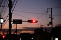 Traffic light with red light against the evening sky Royalty Free Stock Photo