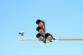 Traffic light