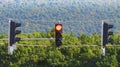 Traffic light showing red, stop sign Royalty Free Stock Photo