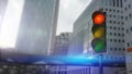 Traffic light shows red in the city Royalty Free Stock Photo