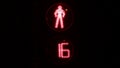 Traffic light with timer. red man. inhibit signal