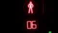 Traffic light with timer. red man. inhibit signal