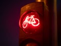Red traffic lights for bicycles at night. Royalty Free Stock Photo
