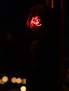 Red traffic lights for bicycles at night. Royalty Free Stock Photo