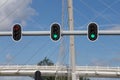 Traffic lights with Calatrava bridge