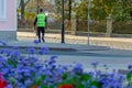 The traffic police inspector is doing his job. A man stands on a background of flower beds. Funny policeman loves flowers. Law