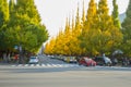 The traffic on the road under ginkgo trees at Icho Namiki Avenue