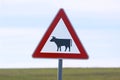 Road sign cattle crossing, caution Royalty Free Stock Photo