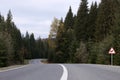 Traffic sign DOUBLE BEND FIRST TO RIGHT near empty asphalt road going through coniferous forest