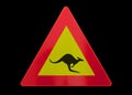 Traffic sign isolated - Kangaroo