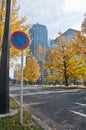 Traffic sign of No Parking and Golden leaves foliage ginkgo Maidenhair trees in front of high-rise corporate office buildings Royalty Free Stock Photo