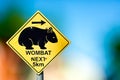 Traffic sign at the road side warns the drivers about wombat Royalty Free Stock Photo