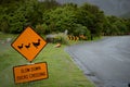 Traffic sign for Slow down duck crossing. Royalty Free Stock Photo