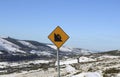 Traffic Sign: Steep descent sign.