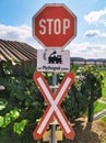 Stop warning train traffic sign placed beside grapevine and apple plantation in the countryside