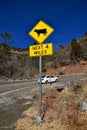 Traffic sign warning of cattle on the road Royalty Free Stock Photo