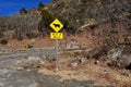 Traffic sign warning of cattle on the road Royalty Free Stock Photo