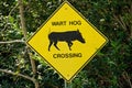 Traffic sign wart hog crossing Royalty Free Stock Photo