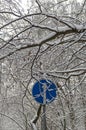 Traffic sign in a winter forest