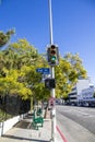 A traffic signal with a green light at Ivar Avenue in Hollywood with lush trees, buildings and cars parked on the street