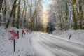 Traffic signs with red arrows on a dangerous curve on an snowy country road through the winter forest, safety driving concept, Royalty Free Stock Photo