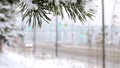 Traffic on a snow-covered road in winter after a snowfall on the background of a spruce branch