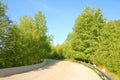 Trafficway and tree Royalty Free Stock Photo