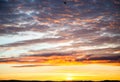 Tragic sky, yellow-pink clouds, sunrise or sunset