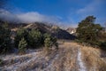 He trail across the field with frost covered grass amongst pine trees on the background of rocky mountains under blue sky, Altai m Royalty Free Stock Photo