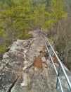 Trail Across The Top of Backbone Rock Royalty Free Stock Photo