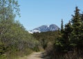 Trail through Alaska Royalty Free Stock Photo