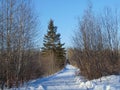 The trail is all mine Royalty Free Stock Photo