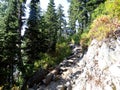 Trail along a forested ridge Royalty Free Stock Photo