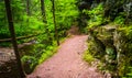 Trail along a stream at Ricketts Glen State Park, Pennsylvania.