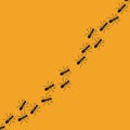 A trail of ants. Simple vector illustration on a white background