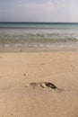 Trail of a bare foot of a man on the sand. Print on a wet surface on the beach background Royalty Free Stock Photo