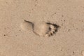 Trail of a bare foot of a man on the sand. Print on a wet surface on the beach background Royalty Free Stock Photo