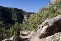 Trail through Big Horn Mountains Royalty Free Stock Photo