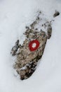 Trail blaze on rock covered in snow Royalty Free Stock Photo