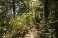 Trail in Borderland State Park