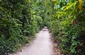 Trail at `Bosque da Freguesia`, Freguesia Forest Public Park, Rio Royalty Free Stock Photo