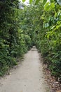 Trail at `Bosque da Freguesia`, Freguesia Forest Public Park, Rio Royalty Free Stock Photo