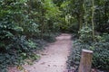 Trail at `Bosque da Freguesia`, Freguesia Forest Public Park, Rio Royalty Free Stock Photo