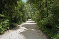 Trail at `Bosque da Freguesia`, Freguesia Forest Public Park Royalty Free Stock Photo