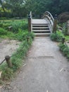 Trail bridge hiking steps trees Royalty Free Stock Photo