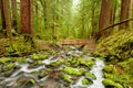 The trail and bridge to Sol Duc Falls, Olympic National Park, Wa Royalty Free Stock Photo