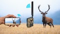 Trail camera sending picture of deer to mobile phone through cellular network Royalty Free Stock Photo