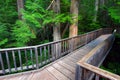 Trail of the Cedars - Glacier NP