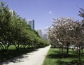 Trail in Chicago at Grant Park Royalty Free Stock Photo